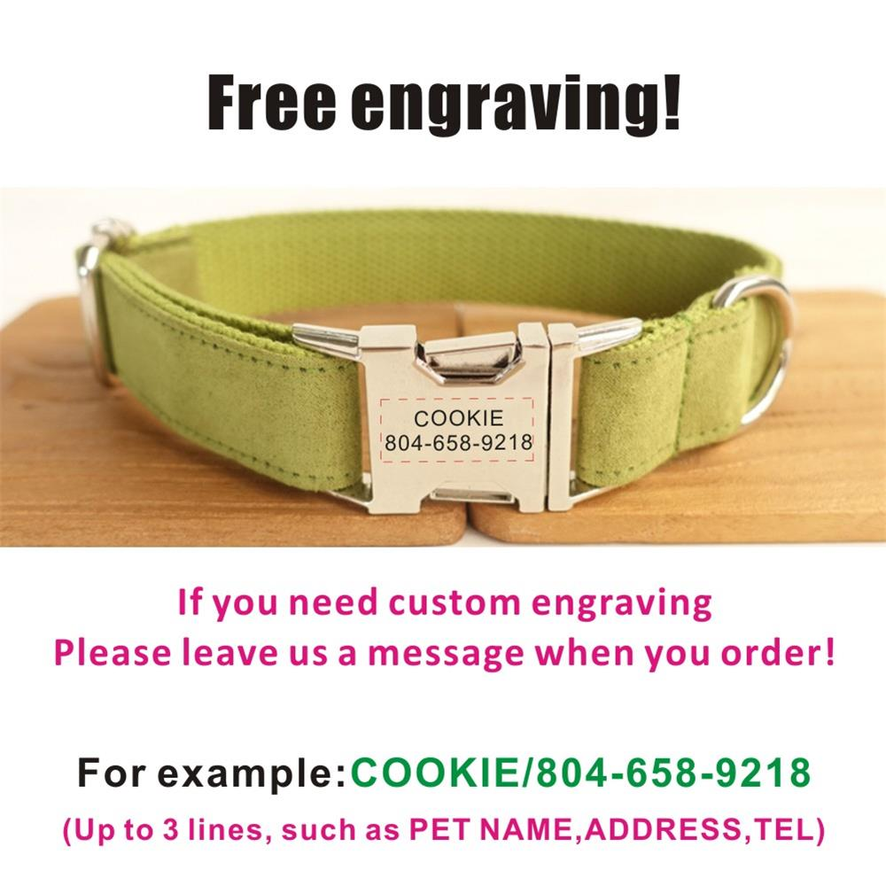 SOFT GREEN Suede Pet Collar