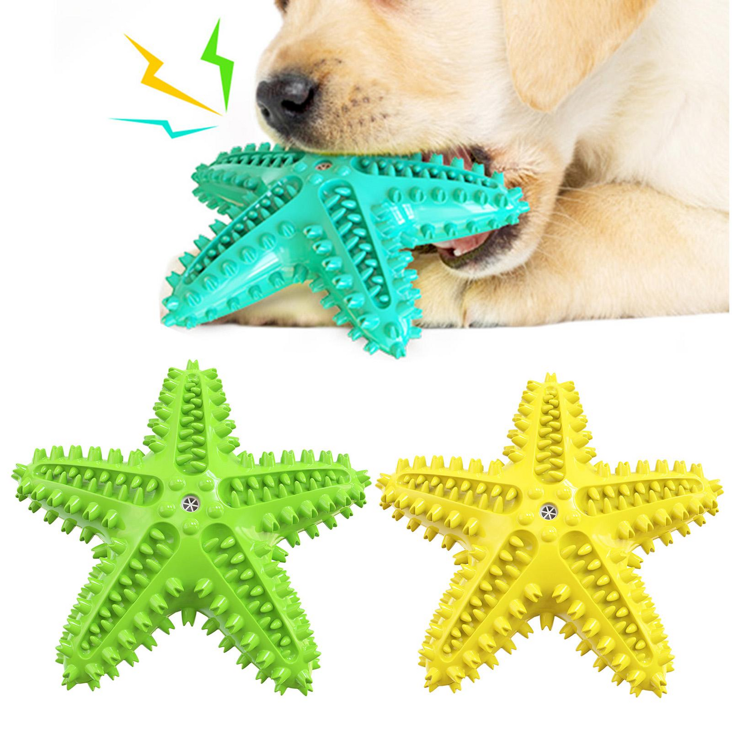 Starfish Teeth Molar Dog Toy