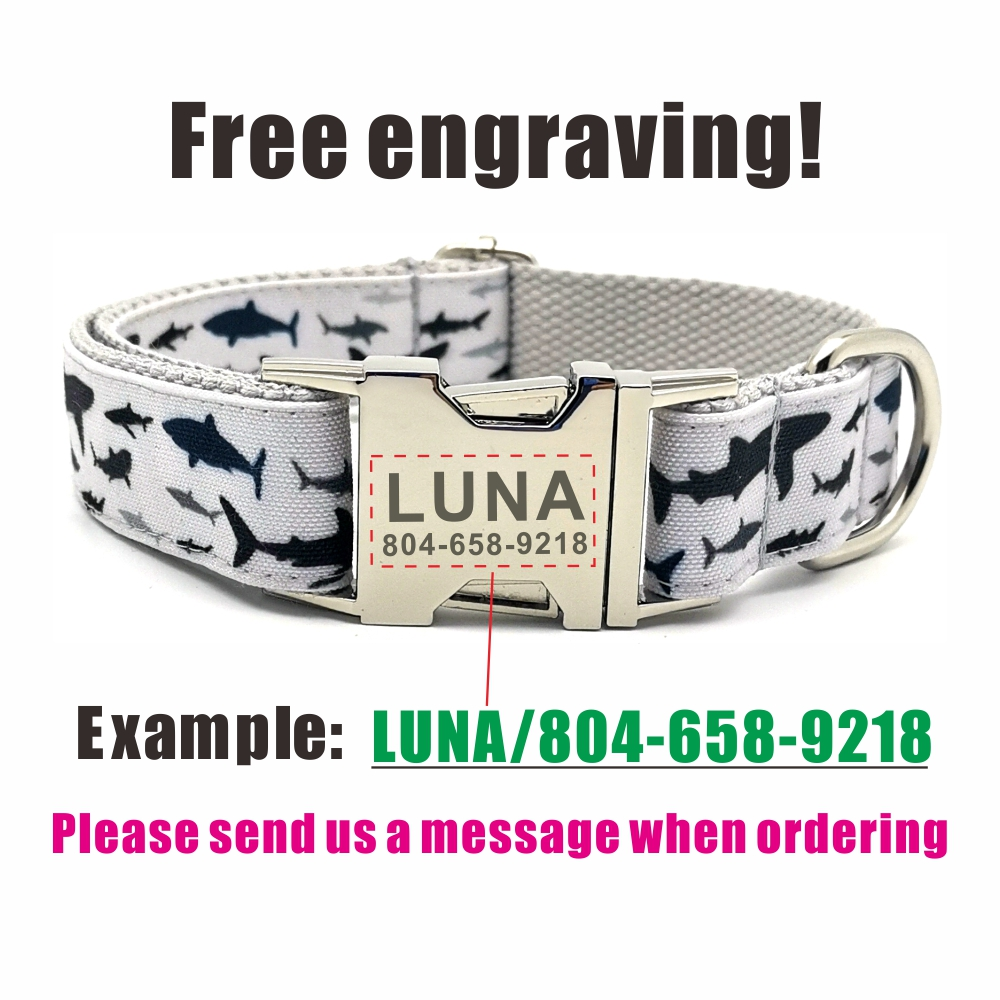 THE SHARK Grey Basic Dog Collar