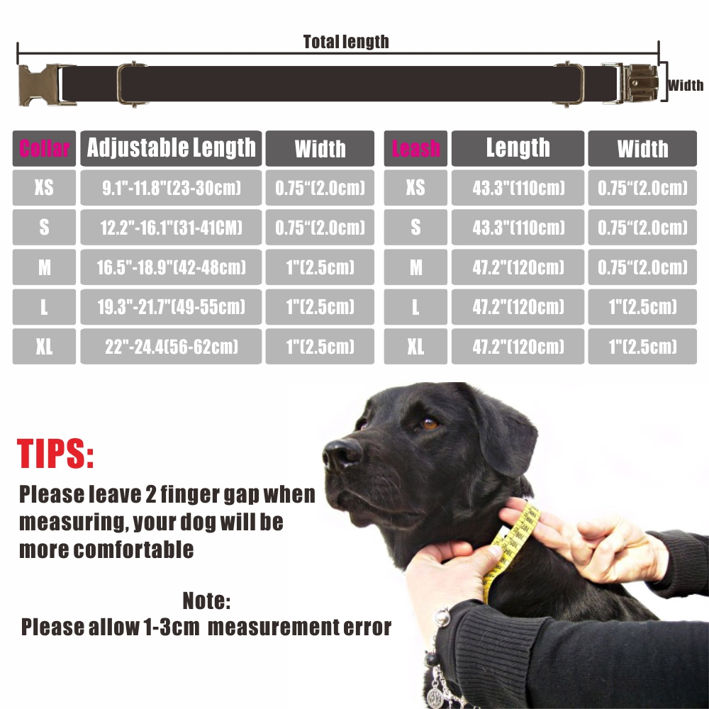 THE SHARK Grey Basic Dog Collar