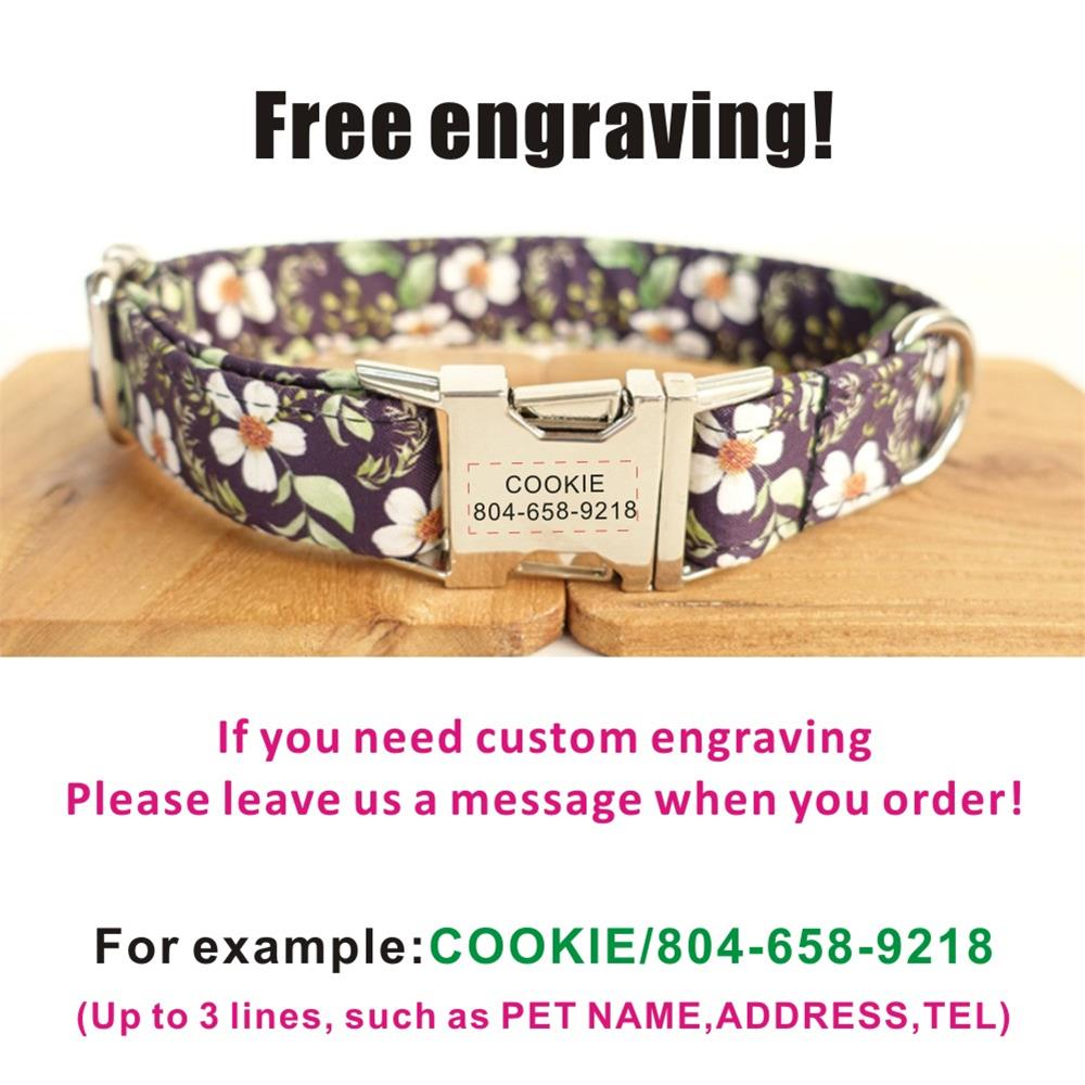 White Flower BLACK DAISY Pet Collar