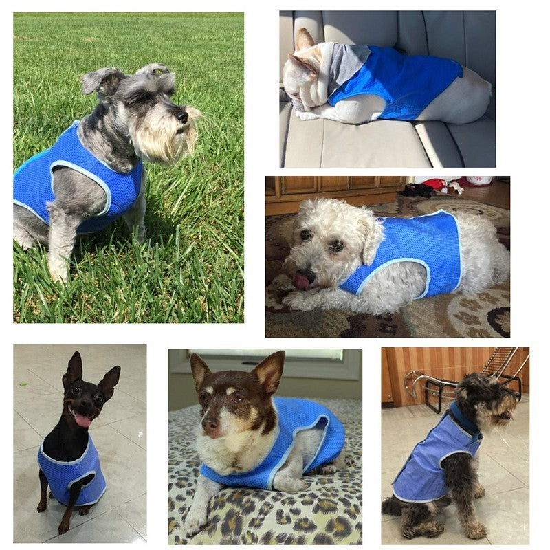 Lightweight Cooling Dog Vest