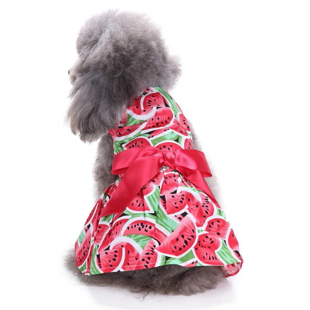 Limited Edition Watermelon Dog Dress - Bark ‘n’ Paws