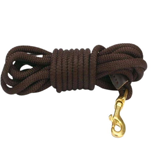 Heavy Duty Long Dog Leash