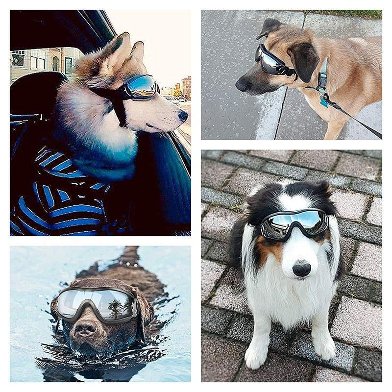 Anti Fog Dog Snow Goggles