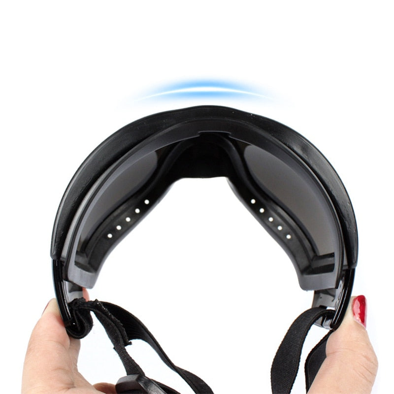 Anti Fog Dog Snow Goggles