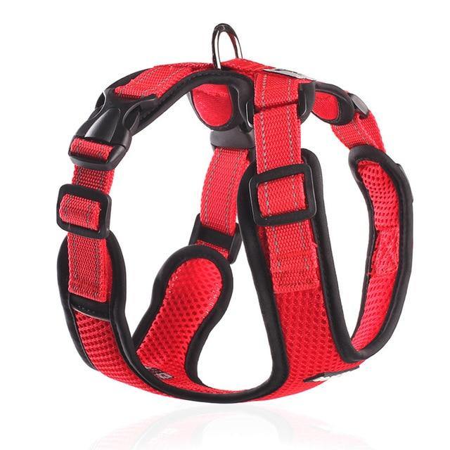 No Pull Mesh Dog Harness - The Bark ¡®n¡¯ Paws