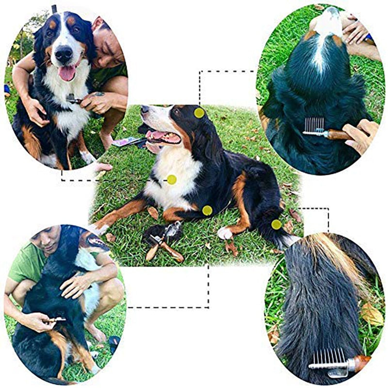 Professional Stainless Steel Comb For Dogs