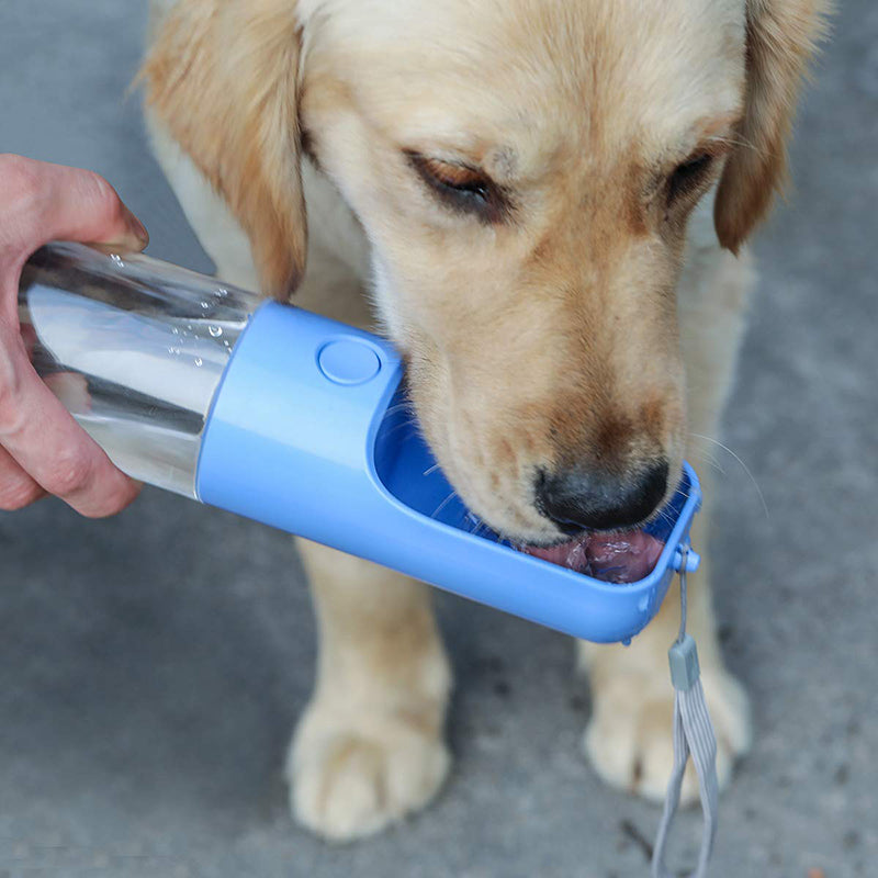 450ml Leak Proof Pet Water Bottle