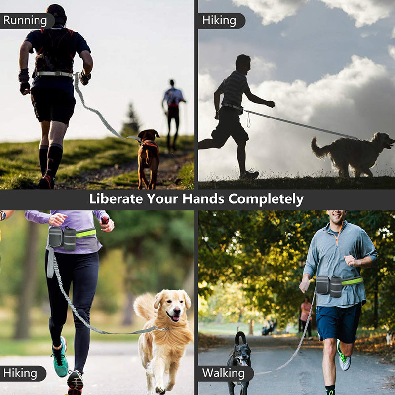 Handsfree 2 Storage Bags Dog Lead