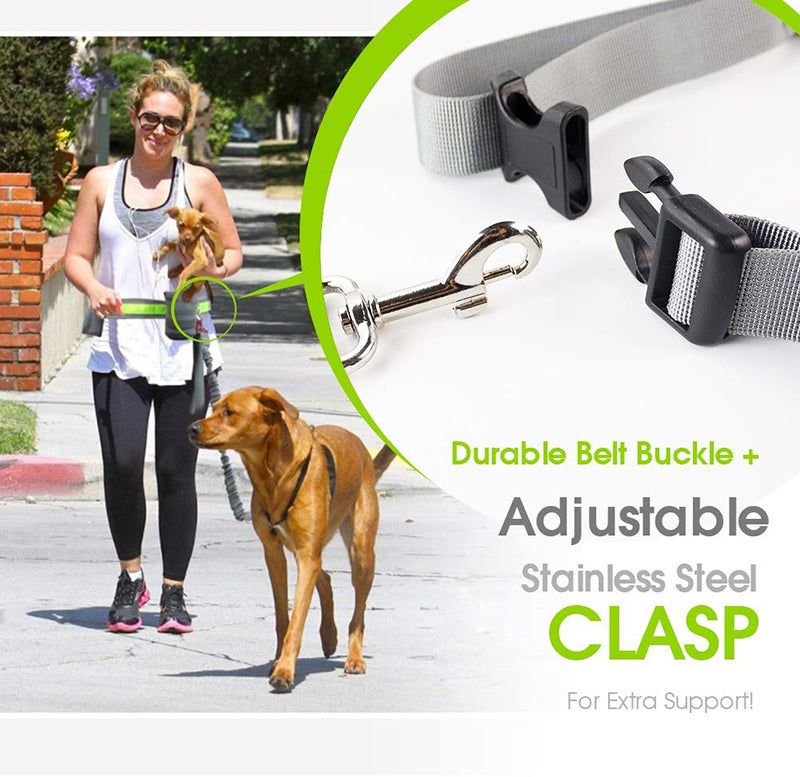 Handsfree 2 Storage Bags Dog Lead