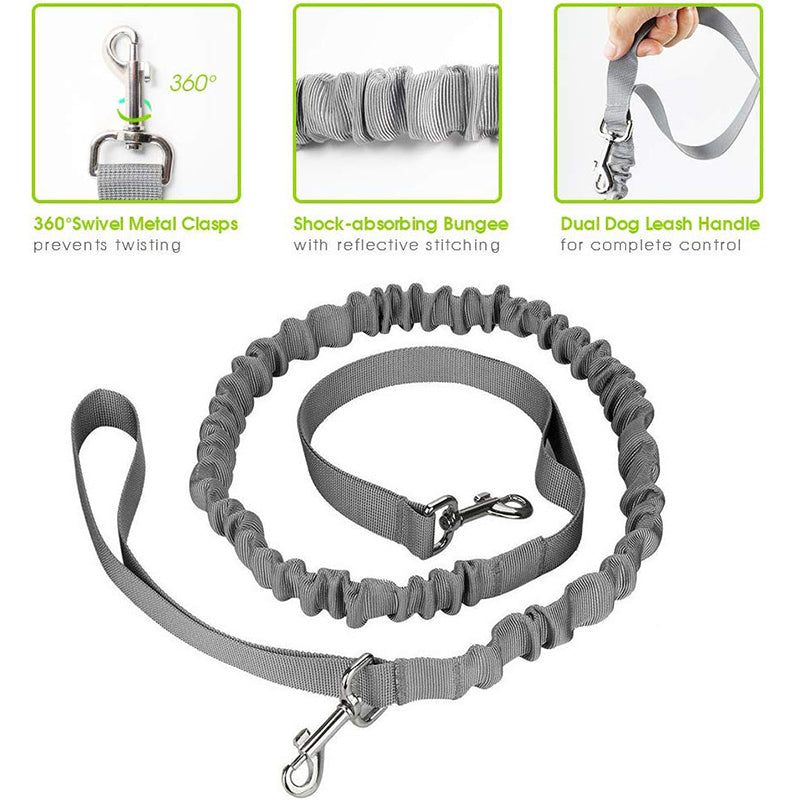 Handsfree 2 Storage Bags Dog Lead