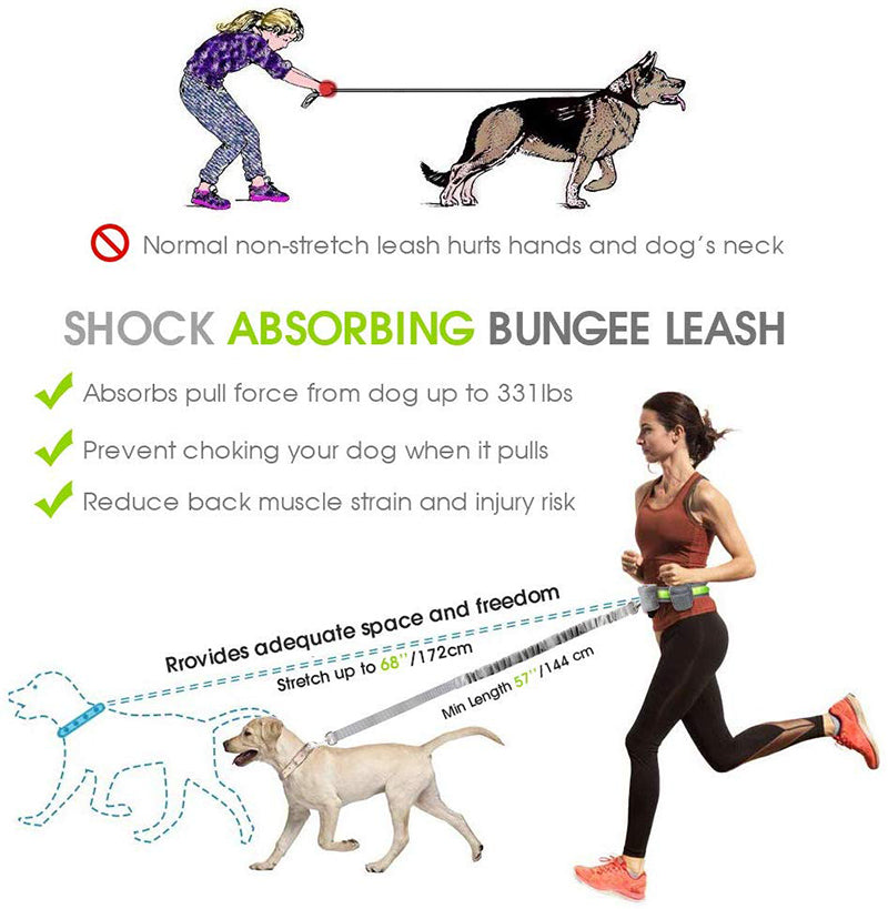 Handsfree 2 Storage Bags Dog Lead