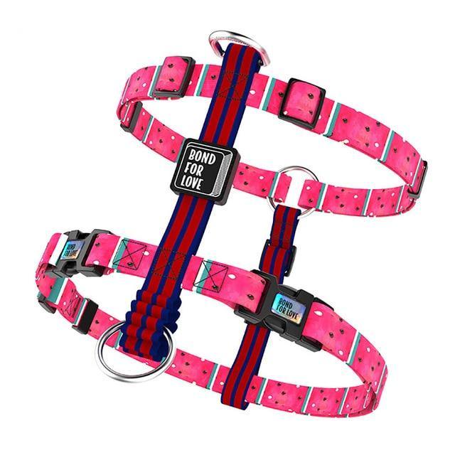 Printed Dog Pet Harness - The Bark ¡®n¡¯ Paws
