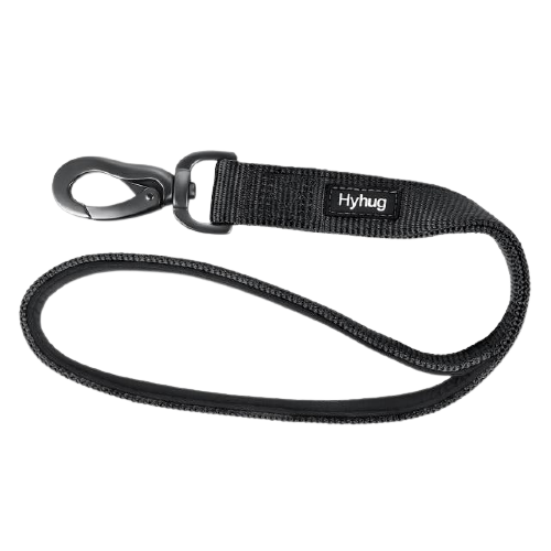 Padded Nylon Dog Walking Leash