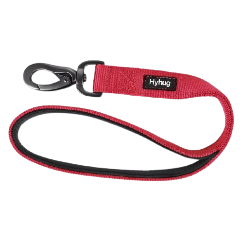 Padded Nylon Dog Walking Leash