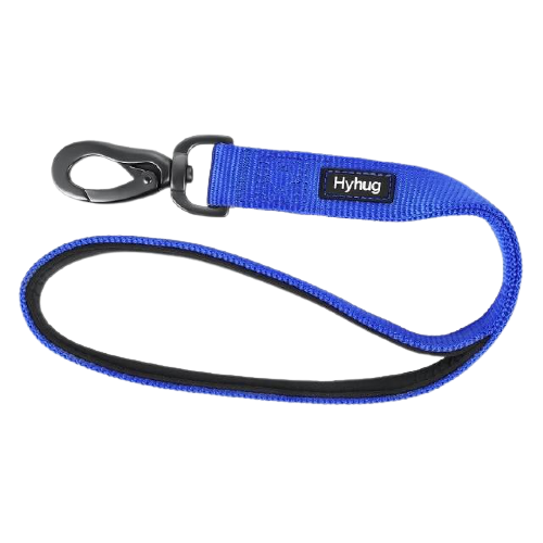 Padded Nylon Dog Walking Leash