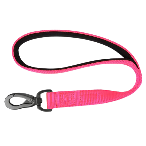 Padded Nylon Dog Walking Leash