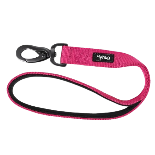 Padded Nylon Dog Walking Leash