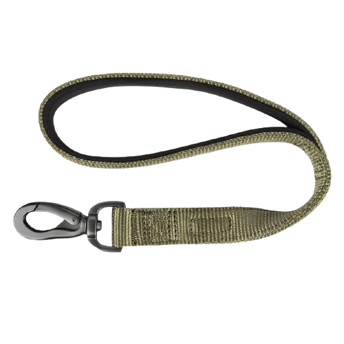 Padded Nylon Dog Walking Leash
