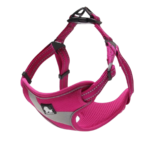 Outdoor Adventure Reflective Dog Walking Harness