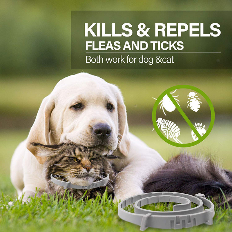 Effective 8 Months Protection Dog Flea Collar