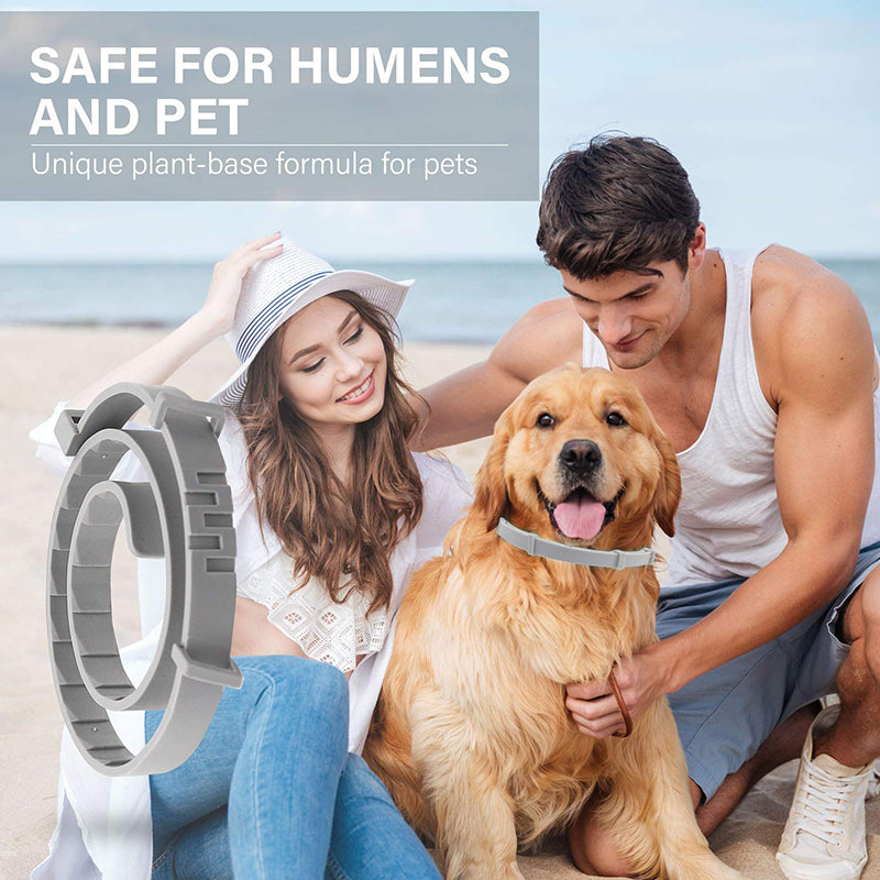 Effective 8 Months Protection Dog Flea Collar