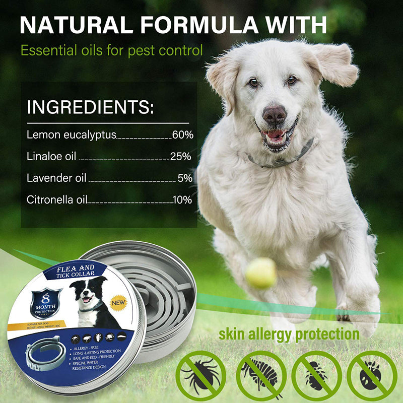 Effective 8 Months Protection Dog Flea Collar