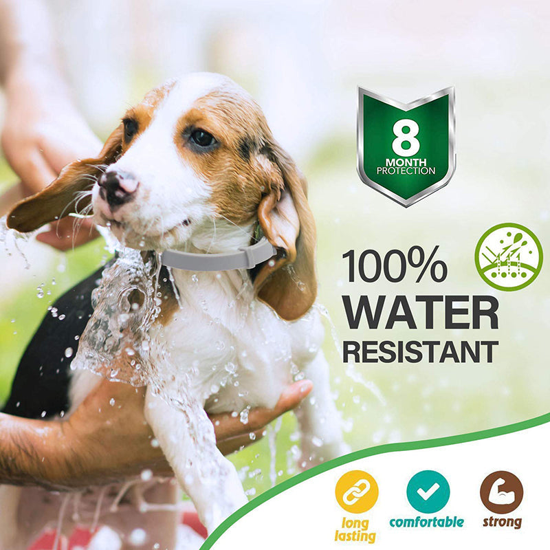 Effective 8 Months Protection Dog Flea Collar