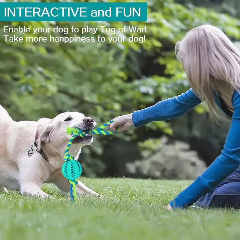 Interactive Treat Dispensing Dog Rope Toy