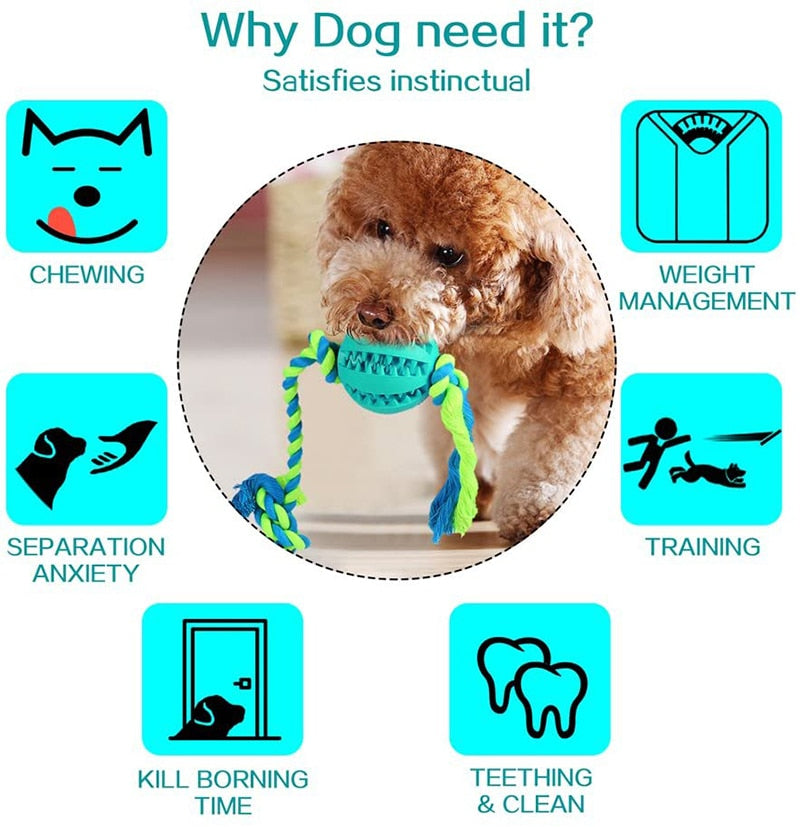 Interactive Treat Dispensing Dog Rope Toy