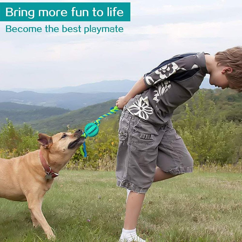 Interactive Treat Dispensing Dog Rope Toy