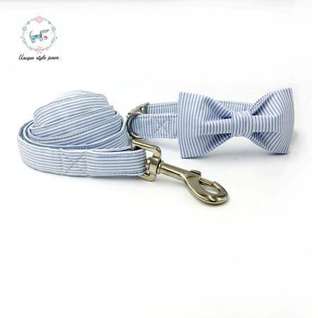 PERRO Designer Dog Collar - Bark ¡®n¡¯ Paws