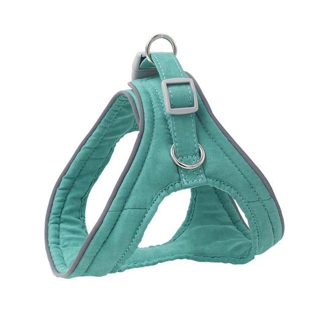 Pet Dog Training Harness - The Bark ¡®n¡¯ Paws
