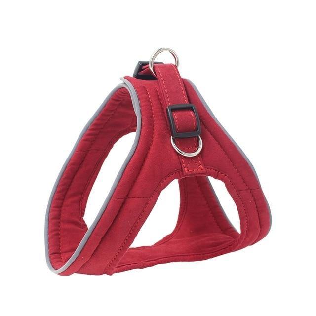 Pet Dog Training Harness - The Bark ¡®n¡¯ Paws