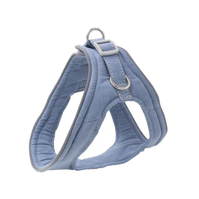 Pet Dog Training Harness - The Bark ¡®n¡¯ Paws