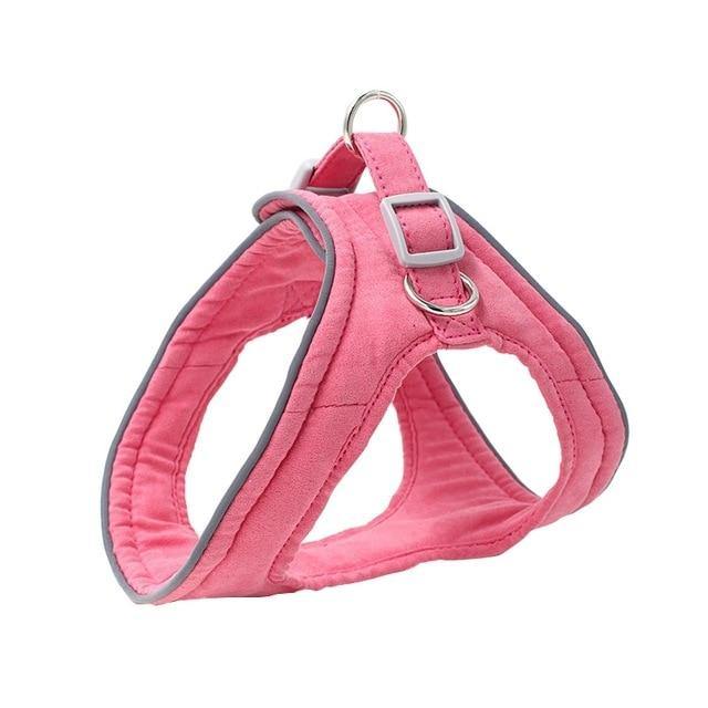 Pet Dog Training Harness - The Bark ¡®n¡¯ Paws