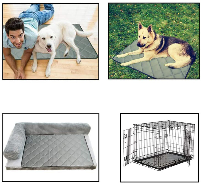 All Seasons Bite Resistant Dog Mat
