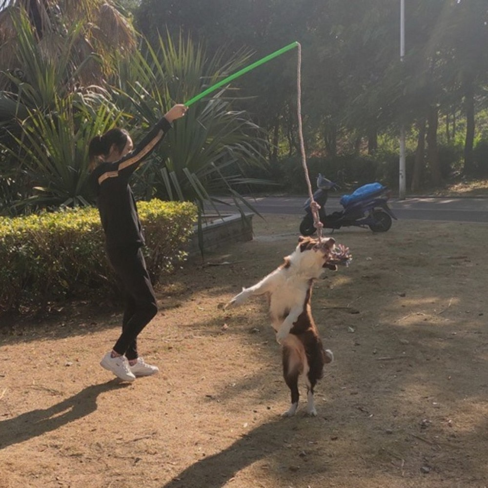 Interactive Large Dog Training Toys