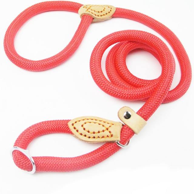 Mountain Climbing P-Chain Dog Lead - Bark ¡®n¡¯ Paws