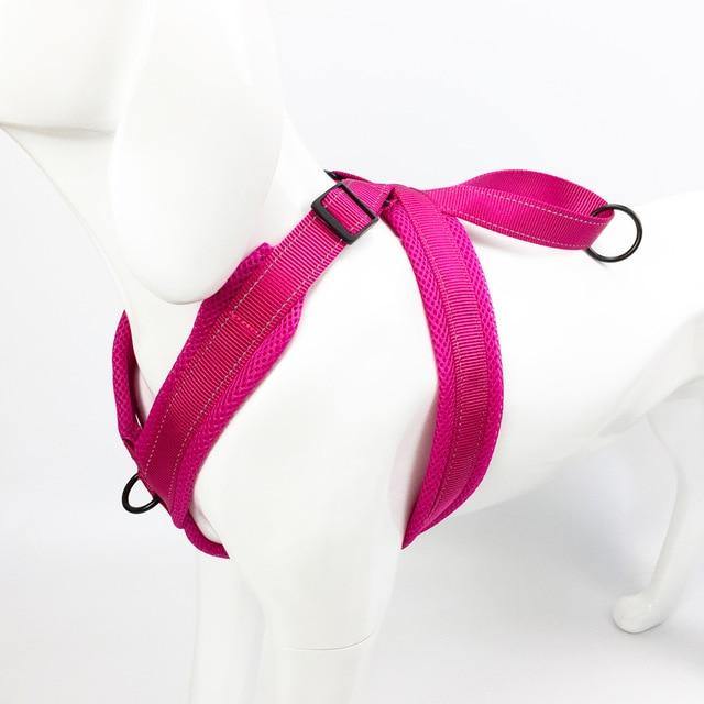 Reflective No Pull Dog Harness - Bark ¡®n¡¯ Paws