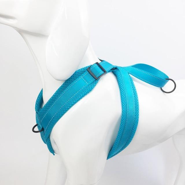 Reflective No Pull Dog Harness - Bark ¡®n¡¯ Paws