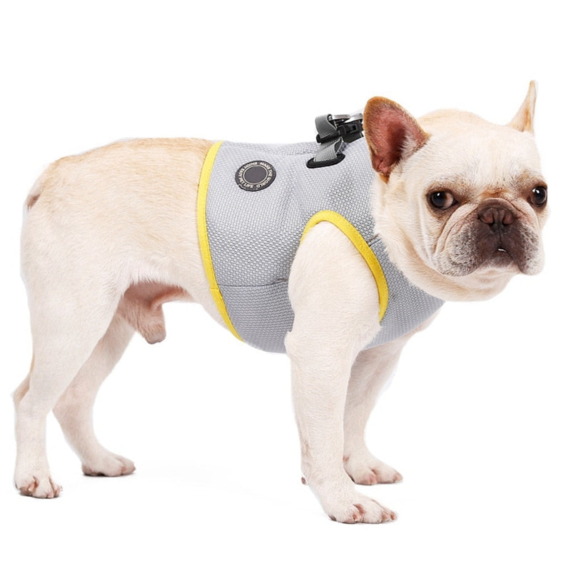 Summer Dog Cooling Vest Harness