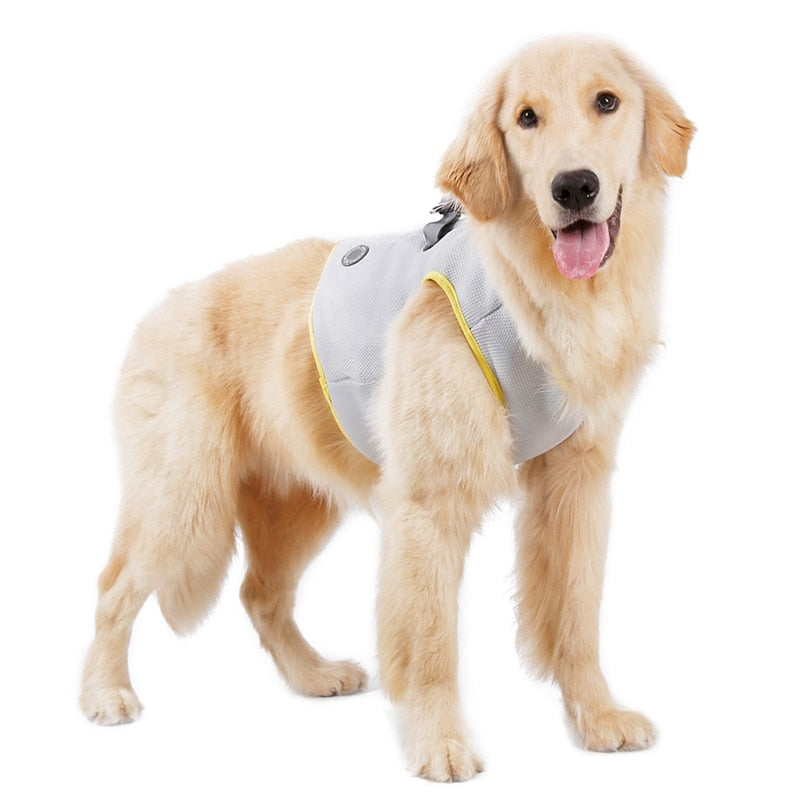 Summer Dog Cooling Vest Harness