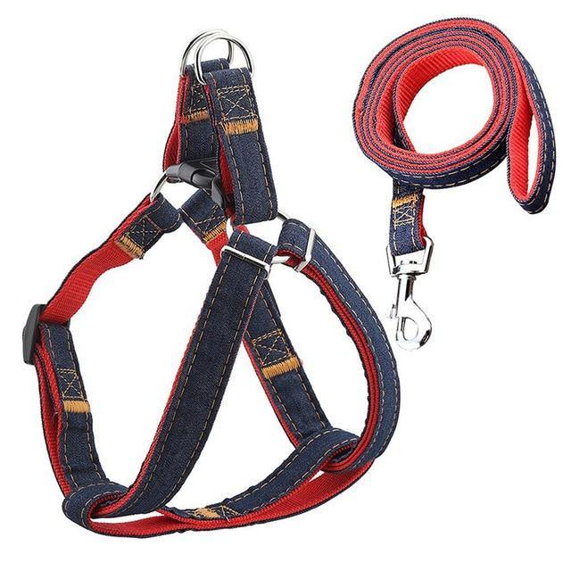 Denim Leash & Harness - The Bark ¡®n¡¯ Paws
