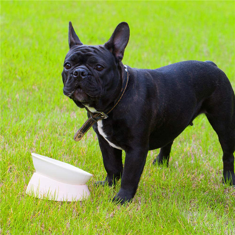 Anti Slip Raised Tilted Dog Bowl