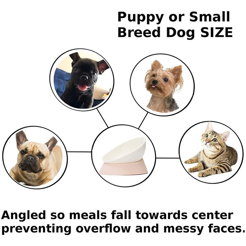 Anti Slip Raised Tilted Dog Bowl