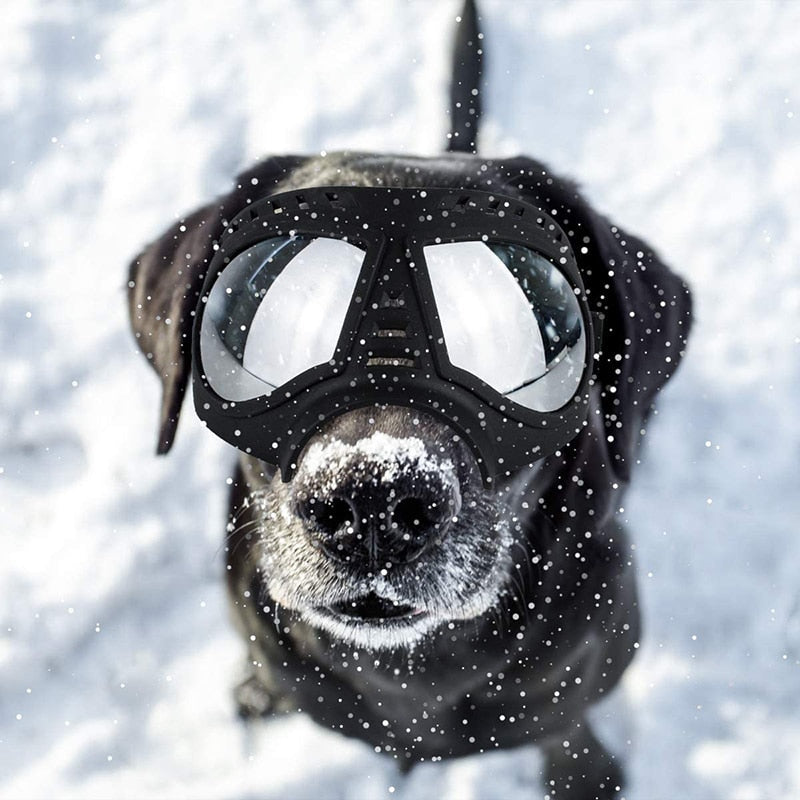 Quality Large Dog Windproof Goggles