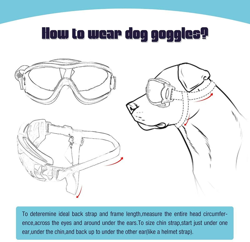 Fashion Small Dog Windproof Goggles