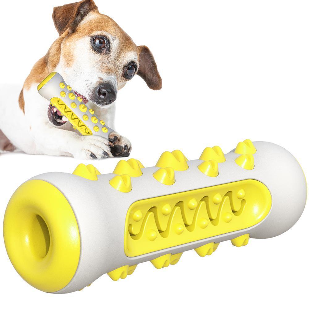 Molar Chewy Toy Toothbrush - The Bark ¡®n¡¯ Paws